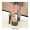 Chunky Block Heels Peep Toe Ankle Straps Transparent Pumps - Green