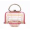 Folding Designed Acrylic Beach HandBag - Multicolor Light