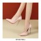 Pointed Toe Stiletto Heels Patent Pumps - Nude