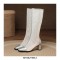 Chunky Heels Back Zipper Knee High Transparent Cut-Out Mesh Boots - Silver