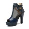 Peep Toe Cuban Heels Transparent Platform T Ankle Buckle Strap Booties with Back Zipper - Blue