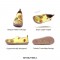 Toledo Slip-On Canvas Loafers - Sunflower