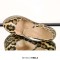 Pointed Toe Stiletto Heels Platforms Leopard Pattern Mary Janes Pumps - Tan Faux Leather