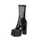 Round Toe Chunky Heels Transparent Platforms Spring Ankle Booties with Back Zipper - Black