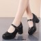 Round Toe Chunky Heels Mary Janes Oxford Style Loafers Pumps - Brown