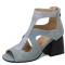 Peep Toe Ankle Buckle Straps Chunky Heels Back Zipper Greek Summer Sandals - Blue