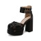 Round Toe Chunky Heels Ankle Buckle Straps Platforms Punk Party Pumps with Back Zipper - Black