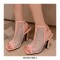 Peep Toe Block Heels Fishnet Transparent Ankle Back Straps Summer Boots - Black