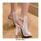 Peep Toe Block Heels Fishnet Transparent Ankle Back Straps Summer Boots - Black