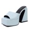 Round Toe Chunky Heels Platforms Outdoor Sandals - Blue