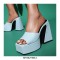 Round Toe Chunky Heels Platforms Outdoor Sandals - Blue