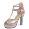 Peep Toe Chunky Heels Ankle Buckle Tstraps Platforms Gladiator Pumps - Gold