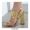 Peep Toe Chunky Heels Ankle Big Buckle Back Straps Platforms Sandals - Gold