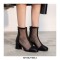 Round Toe Chunky Heels Fishnet Ankle High Back Zipper Summer Boots - Black
