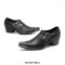 Metal Pointed Toe Flame Skull Buckle Straps Gothic Punk Chunky Heels Leather Loafers - Black