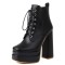 Round Toe Lace Up Side Zipper Ankle Highs Chunky Heels Punk Gothic Platforms Boots - Black