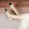 Pointed Toe Kitten Heels Cotton Fabric Summer Pumps Sandals - Multicolor