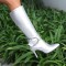 Pointed Toe Chunky Heels Side Zipper Knee Highs Ankle Decorated Straps Elegant Boots - Silver