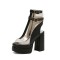 Peep Toe Chunky Heels Transparent Ankle Buckle Straps Double Platforms Sandals Booties - Black Faux Leather PVC