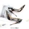 Pointed Toe Stiletto Heels Flowers Print Pumps - Black Patent