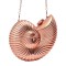 Shiny Acrylic Clutch Novelty Conch shaped Chain Shoulder Bags - Rose Acrylic
