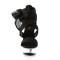 Allure-664 - Black Chiffon/Clear