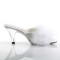Belle-301F - White Pu Fur Clear  