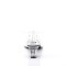 Funtasma Crystal-103 - Clear Lucite
