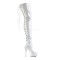 Delight-3063 - White Stretch Patent/White Lace Up