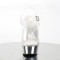 Delight-608 - Clear/Silver Chrome
