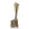 Fabulous-3035 - Gold Crinkle Pat-Glitter