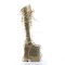 Fabulous-3035 - Gold Crinkle Pat-Glitter