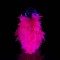 Flamingo-808F - Clear Neon Pink Marabou Feather  