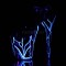 FLAMINGO-809NLB - Black Black Neon Blue