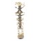 Funtasma Goddess-12 - Gold Met Snake Pu
