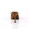 Monroe-08 - Leopard Print Fabric  