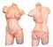 Tony Shoes Swim Wear Tony Wear 3074-H