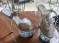 Tony Shoes 701-H Clear on Clear-Silver SPECIAL Size 5