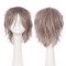 Short Cosplay Costumes Party Wig - Silver Grey Synthetic