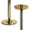 Sport (NS) - Titanium Gold - 45mm