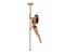 XPert Pro PX Pole Set - Titanium Gold - 45mm - NO SHIPPING (PICKUP ONLY) with X-LOCK Static-Spin Switch