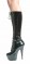 609-Jungle - Black Patent